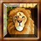 Play Wild Africa Mahjong